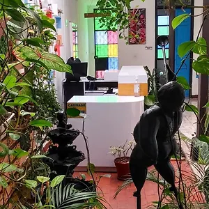 Casa Blanca San Antonio Boutique Guest house Cali